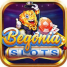 Begônia Slots