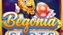 Begônia Slots